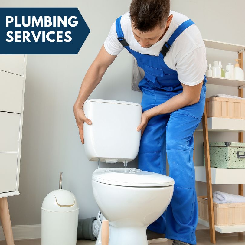 Plumbing Company in Saint Charles, MI
